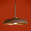 Подвесной светильник Freya FR5602PL-L5BR1