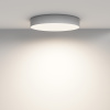 Потолочный светильник Technical C032CL-45W4K-RD-W