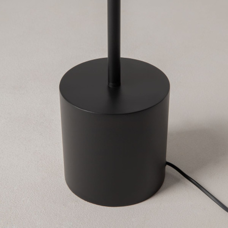 Торшер Maytoni Modern Evolution MOD396FL-L10W3K