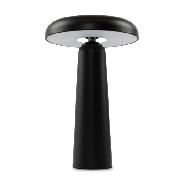 Аккумуляторный светильник Freya FR6109TL-L4B