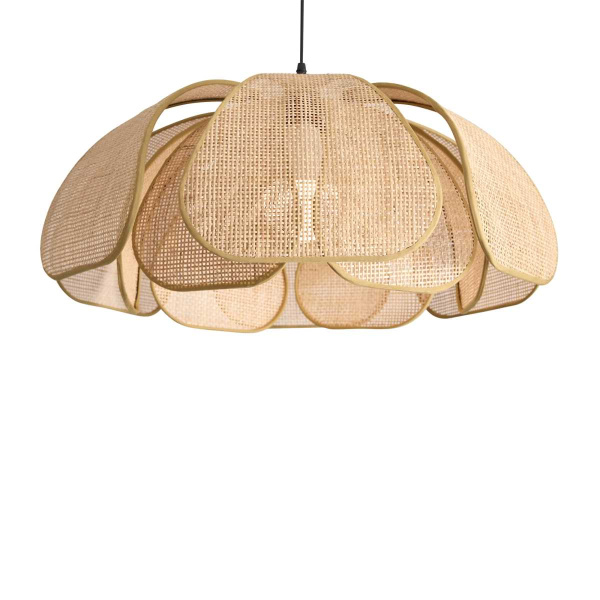 Подвесной светильник Freya Modern FR5529PL-01B